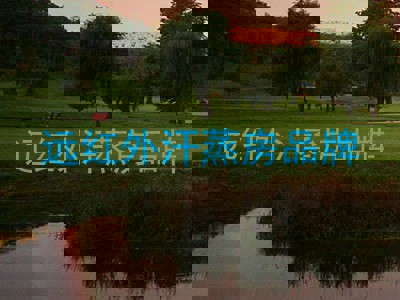 远红外汗蒸房品牌