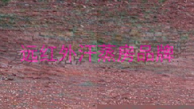 远红外汗蒸房品牌