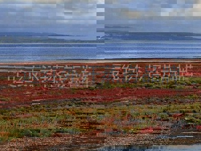 远红外汗蒸房品牌