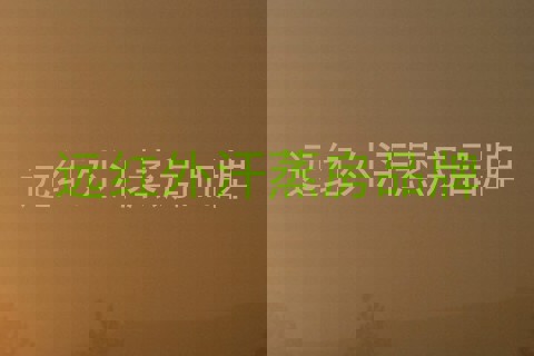 远红外汗蒸房品牌