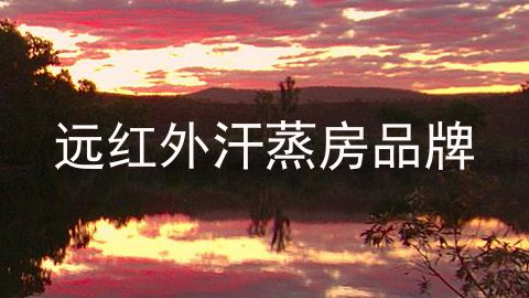 远红外汗蒸房品牌