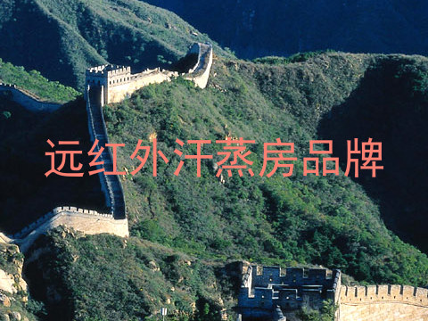 远红外汗蒸房品牌