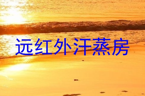 远红外汗蒸房