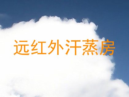 远红外汗蒸房