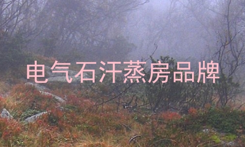 电气石汗蒸房品牌