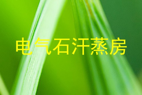 电气石汗蒸房