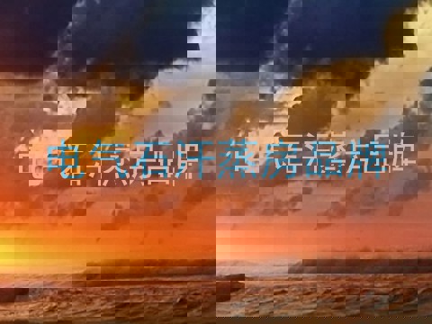 电气石汗蒸房品牌