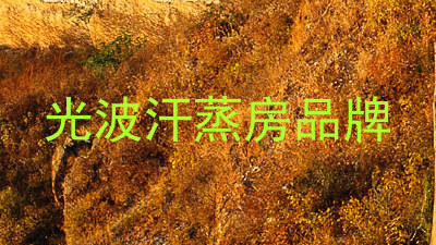 光波汗蒸房品牌