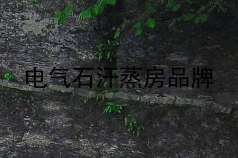 电气石汗蒸房品牌