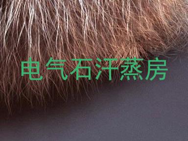 电气石汗蒸房