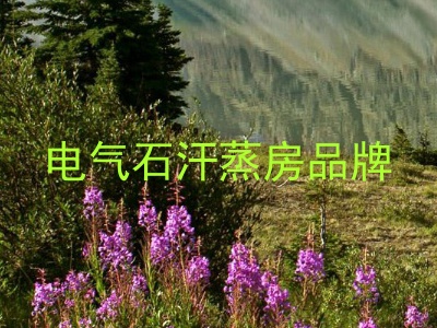 电气石汗蒸房品牌