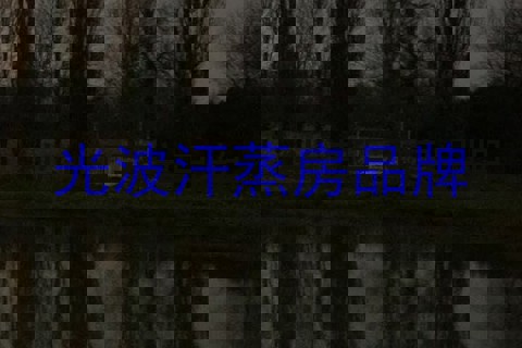 光波汗蒸房品牌