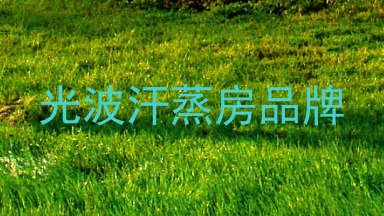 光波汗蒸房品牌