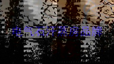 电气石汗蒸房品牌