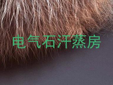 电气石汗蒸房