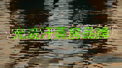 光波汗蒸房品牌