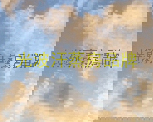 光波汗蒸房品牌