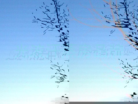 光波汗蒸房品牌