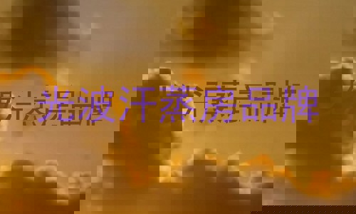 光波汗蒸房品牌