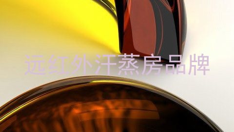 远红外汗蒸房品牌