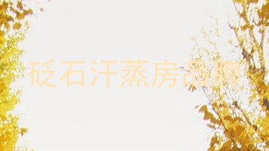 砭石汗蒸房品牌