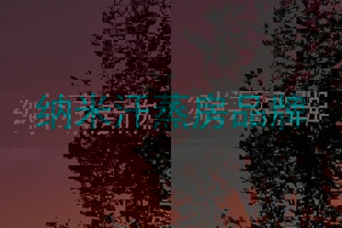 纳米汗蒸房品牌