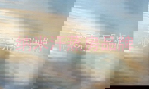 纳米汗蒸房品牌