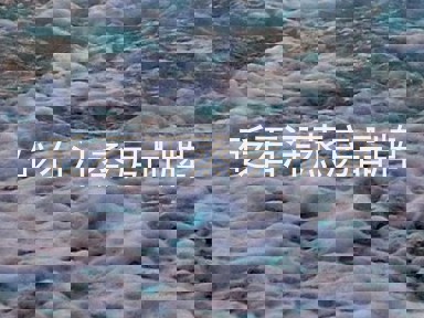 砭石汗蒸房品牌