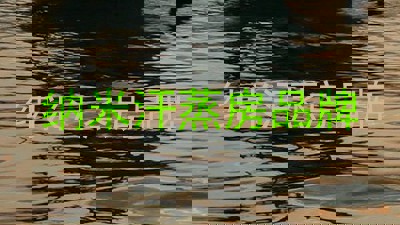 纳米汗蒸房品牌