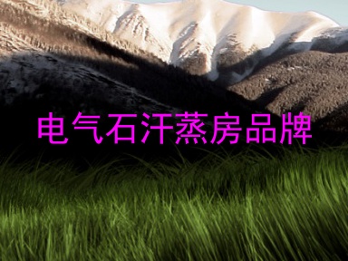 电气石汗蒸房品牌