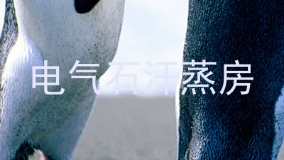 电气石汗蒸房