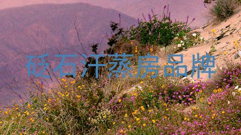 砭石汗蒸房品牌