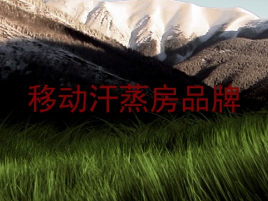 移动汗蒸房品牌