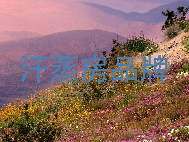 汗蒸房品牌