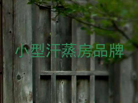 小型汗蒸房品牌