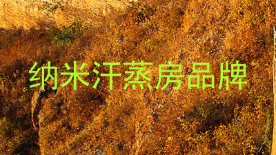 纳米汗蒸房品牌