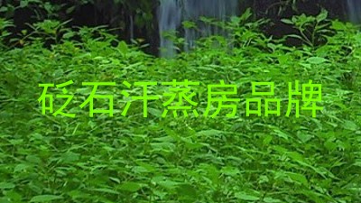 砭石汗蒸房品牌