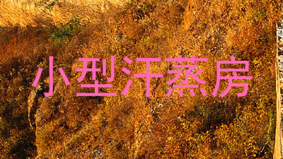 小型汗蒸房