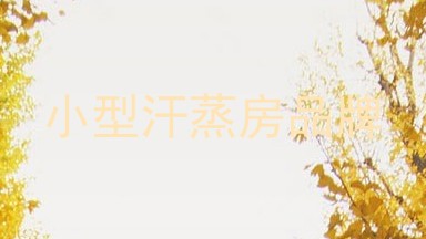 小型汗蒸房品牌