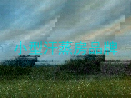 小型汗蒸房品牌