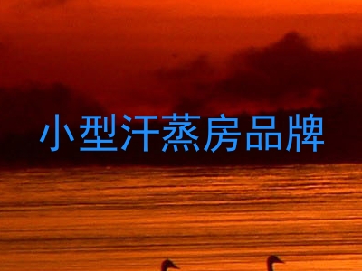 小型汗蒸房品牌