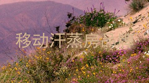 移动汗蒸房品牌