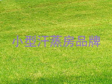 小型汗蒸房品牌