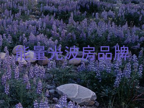 能量光波房品牌