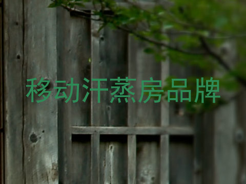 移动汗蒸房品牌