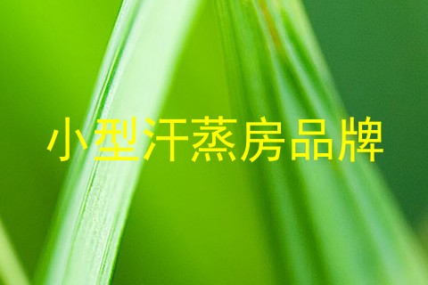 小型汗蒸房品牌