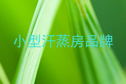 小型汗蒸房品牌