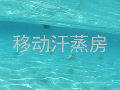 移动汗蒸房