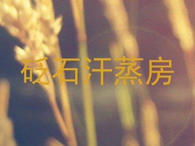 砭石汗蒸房