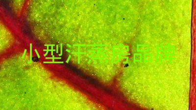 小型汗蒸房品牌